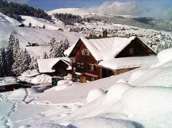 ausblick1