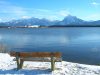 amhopfensee