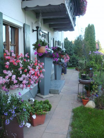 Blumen