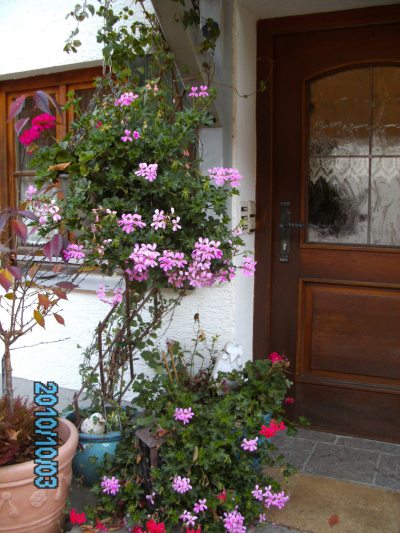 Blumen