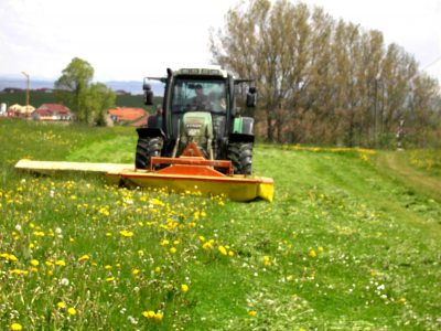 Mäharbeiten Mäharbeiten