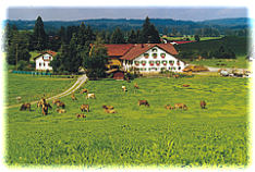 rapphof1