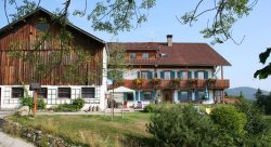 ferienhoffleischhut