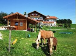 haus2010_ausschnitt_351x259