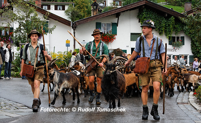 0147_tom_mittenwald_goassnabtrieb_2010