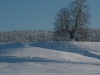 p1000774