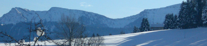 Landhaus Haflingerhof