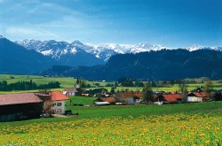 Bolsterlang mit Blick in die Allgäuer Alpen