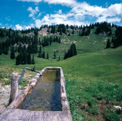 Unberührte Landschaften in Gunzesried