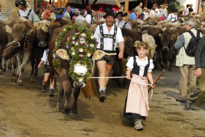 Almabtrieb im September Almabtrieb im September