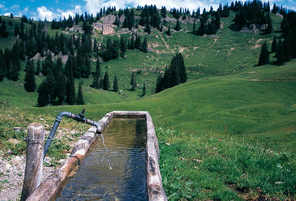 hauptbild