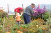 opagarten