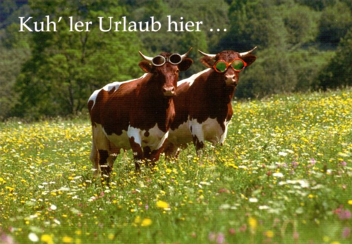 kuhler Urlaub kuhler Urlaub