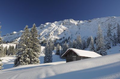 Wintertraum Wintertraum