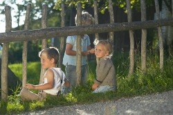 Kinder am Zaun Teil 2