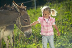Kind und Esel 2 Kind und Esel 2