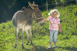 Kind und Esel 3