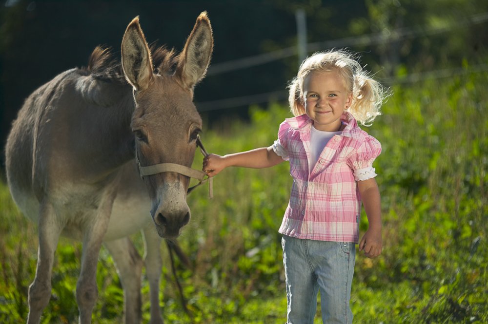 Kind hält Esel