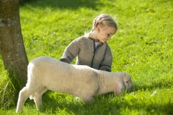 Kind und grasendes Lamm