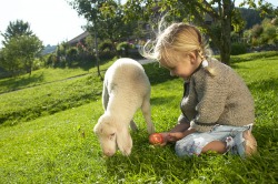 Ein Apfel für das Lamm