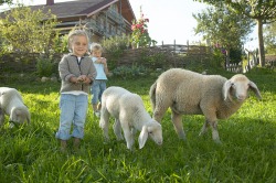 Kinder mit Schafen