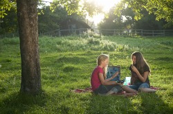 Picknick unter einem Baum