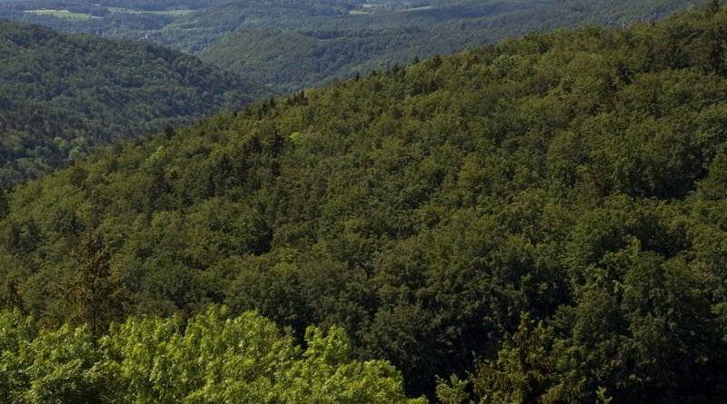 Frankenwald