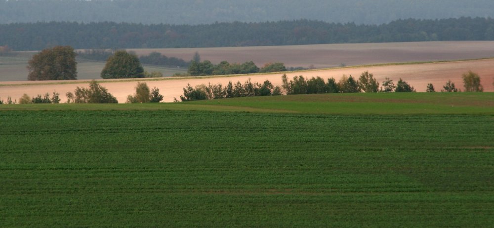 Steigerwald