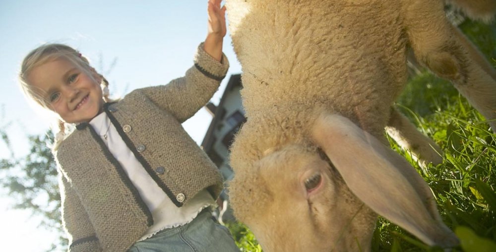 schafestreicheln_ausschnitt_1122x570
