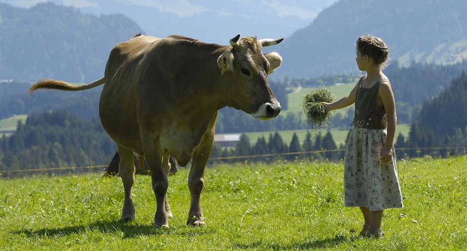 allguklein_ausschnitt_940x505