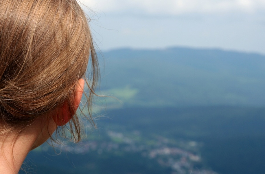 Bayerischer Wald