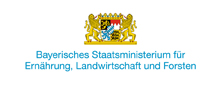 stmelf_internetlogo_2z