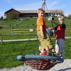 spielplatzvogelnest