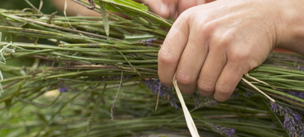 grasbndeln_ausschnitt_1199x543