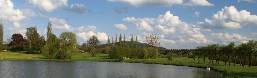Header Franken