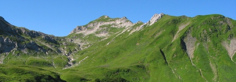 Header Oberallgäu