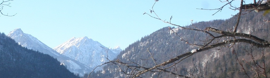 Header Ostallgäu