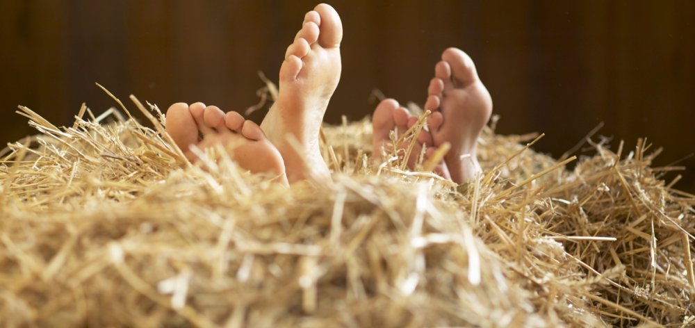feimstroh_ausschnitt_1199x567