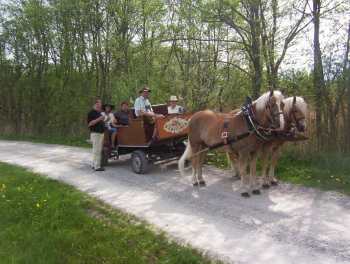 Kutsche Kutsche