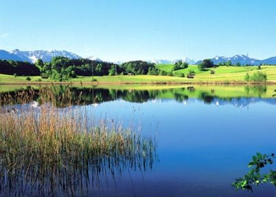 froschsee froschsee