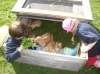Die Hasenfamilie