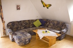 bernd_0801