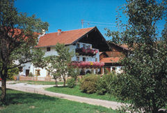 Beim
			