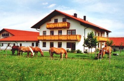 Birkenwieshof