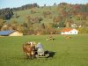 herbst1