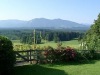 Terassenblick