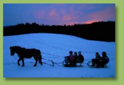 Familienbauernhof König Regen