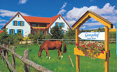 Georgshof