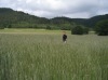Chef_im_Feld