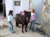 Kinder--107